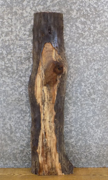 Salvaged Live Edge Black Walnut Entry/Side Table Top Slab 1713